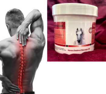Horse Chestnut Gel for Joint & Muscle Pain Relief – 250ml – Deep Soothing Analgesic Cream with Natural Extracts – Fast Absorbing Anti-Inflammatory Gel for Back, Knees, Shoulders – 1 Pack